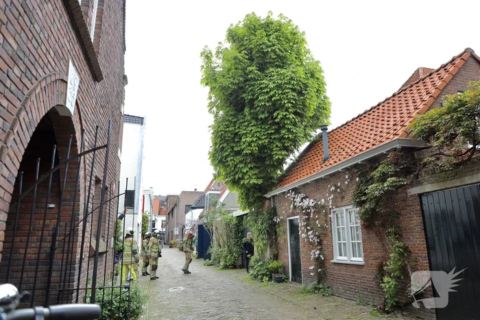 Brandweer ingezet voor kat in de boom