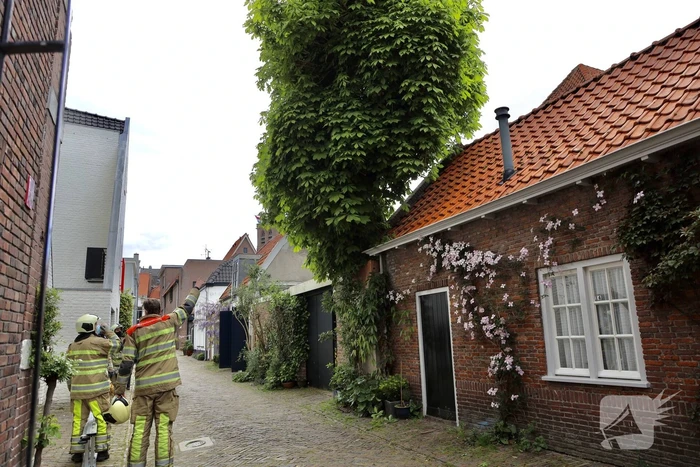 Brandweer ingezet voor kat in de boom