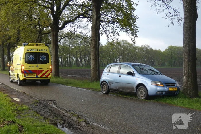 Auto tegen boom tot stilstand