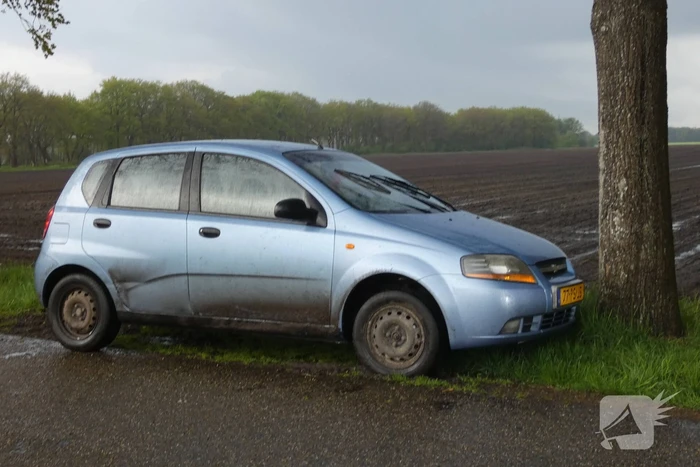 Auto tegen boom tot stilstand