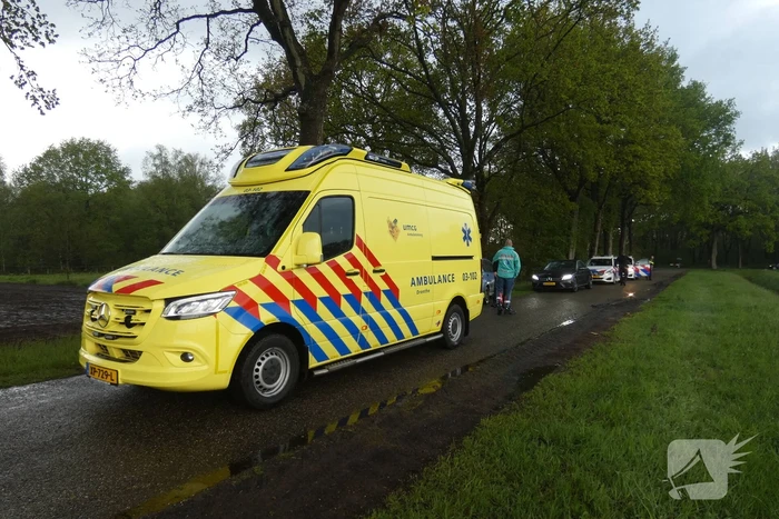 Auto tegen boom tot stilstand