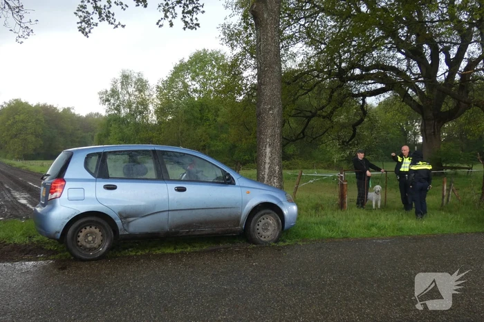 Auto tegen boom tot stilstand