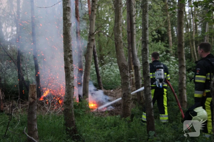 Brandweer blust brandend riet