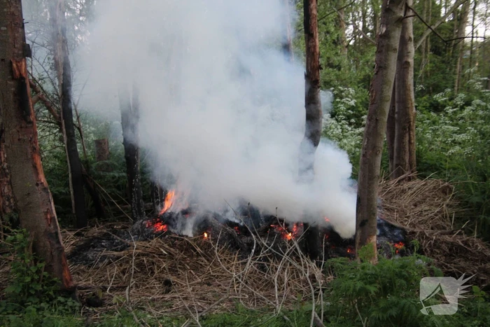 Brandweer blust brandend riet