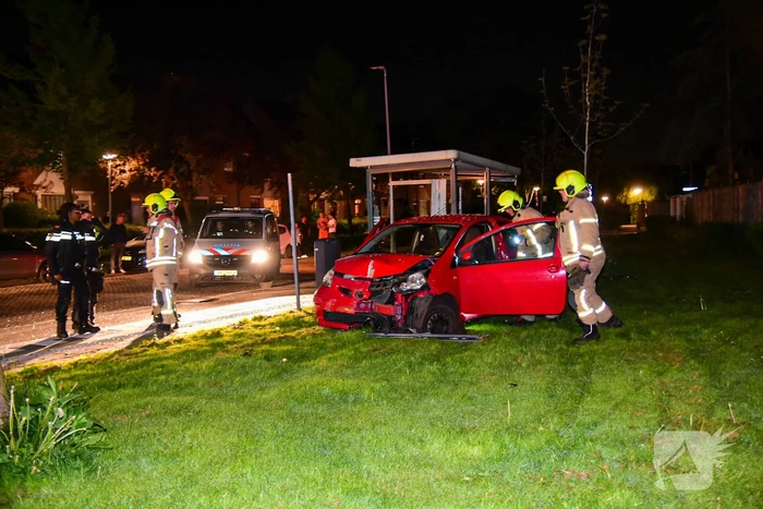 Personenauto botst in bushok