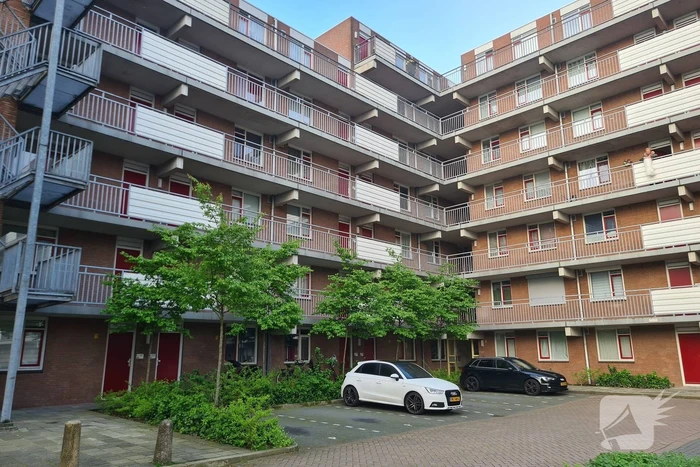 Hennepkwekerij in flat aangetroffen