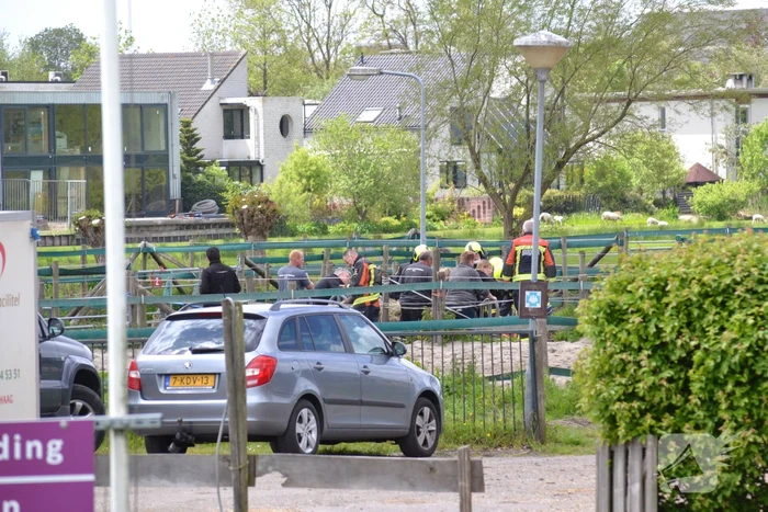 Brandweer bevrijdt paard Zorgmanege Grenzeloos
