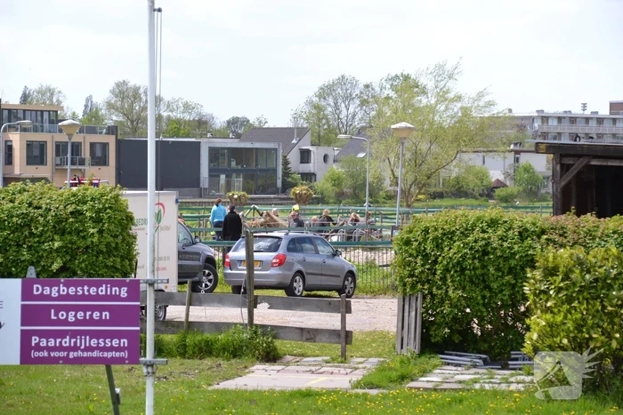Brandweer bevrijdt paard Zorgmanege Grenzeloos