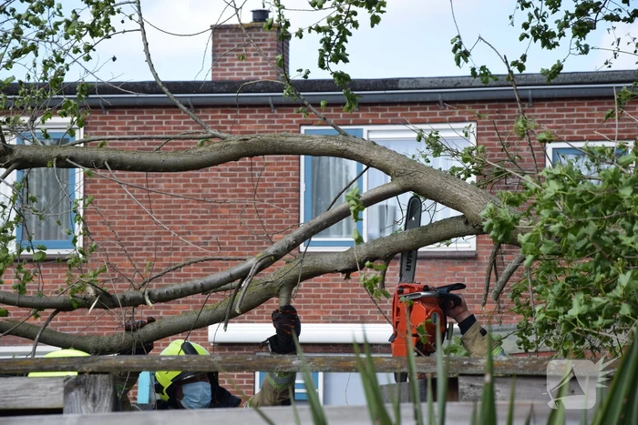 Brandweer zaagt gebroken tak in stukken
