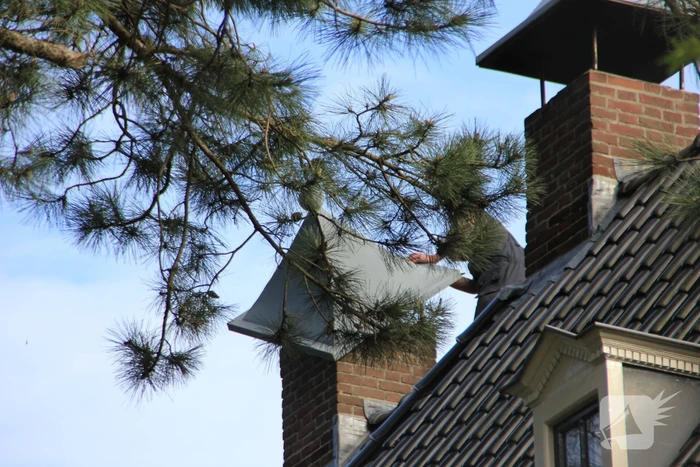 natuur ter hoffsteedeweg overveen
