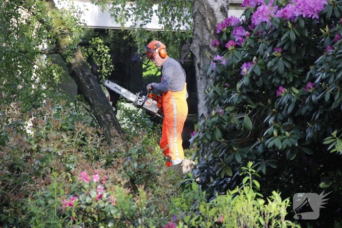 Boom waait om tegen woning