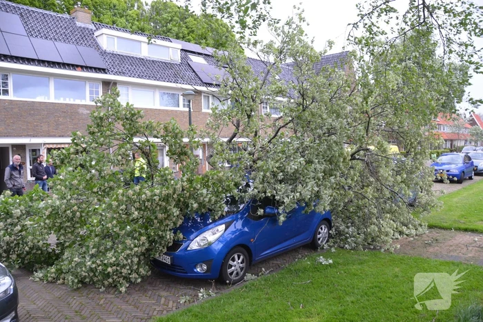 Boom waait om en valt op een auto