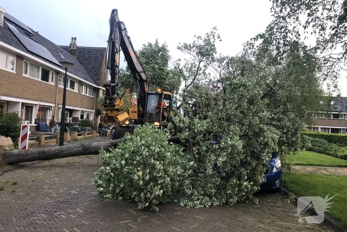 Boom waait om en valt op een auto