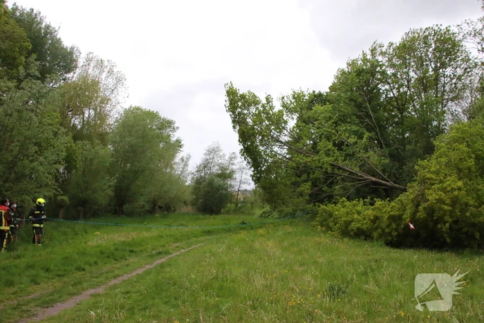 natuur bloemerd leiderdorp