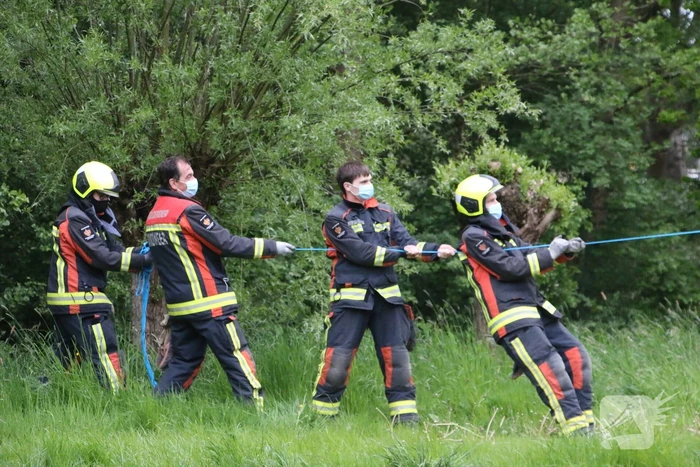 Brandweer zaagt gevaarlijke boom om