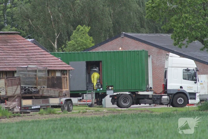 Ruiming na vaststelling vogelgriep