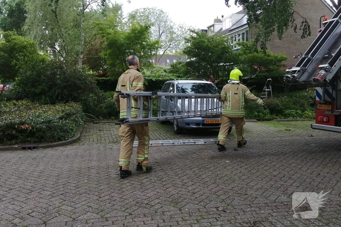 Brandweer haalt loshangende tak uit boom