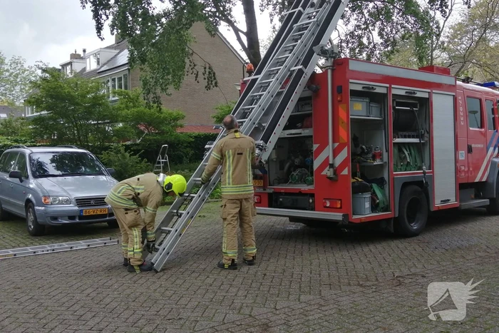 Brandweer haalt loshangende tak uit boom