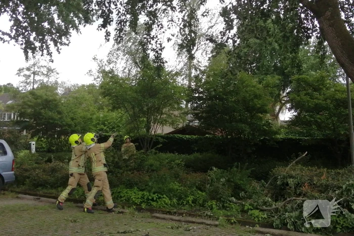 Brandweer haalt loshangende tak uit boom