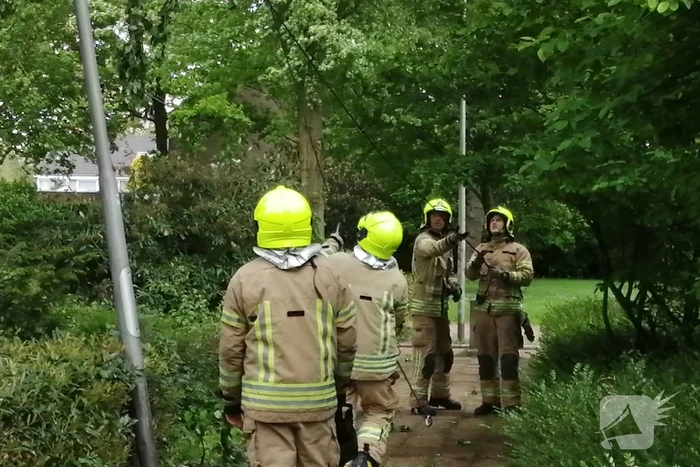 Brandweer haalt loshangende tak uit boom
