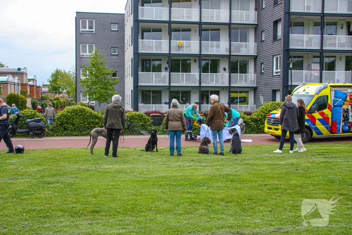 Fietser en scooter botsen op fietspad