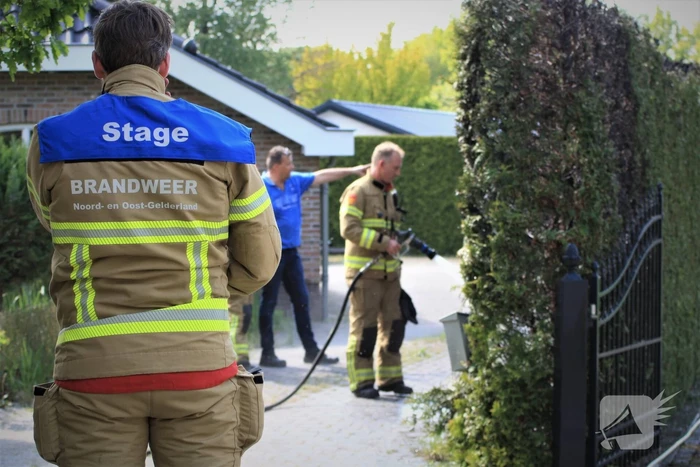Coniferenhaag in brand door onkruid verbranden