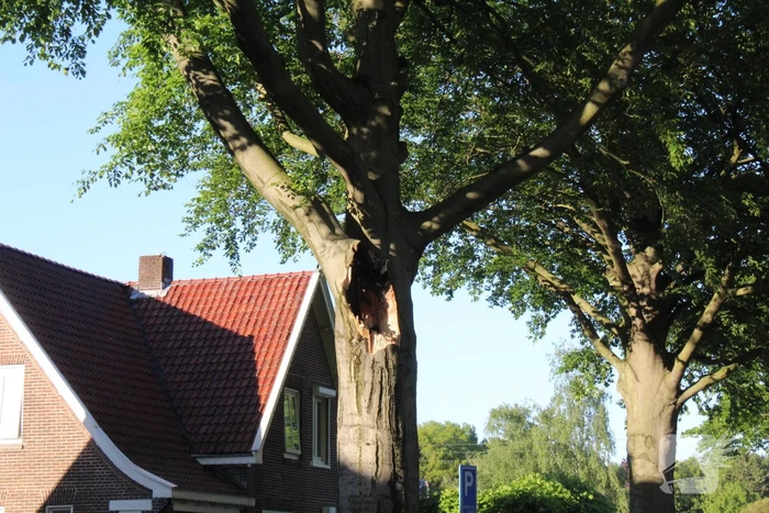 nieuws cobrahof emmen