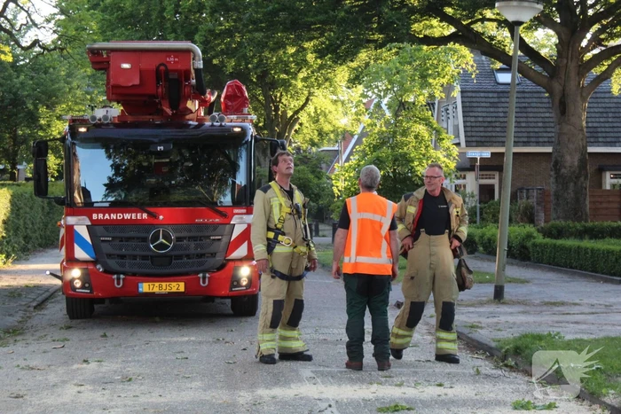 Gevaarlijk hangende tak verwijderd