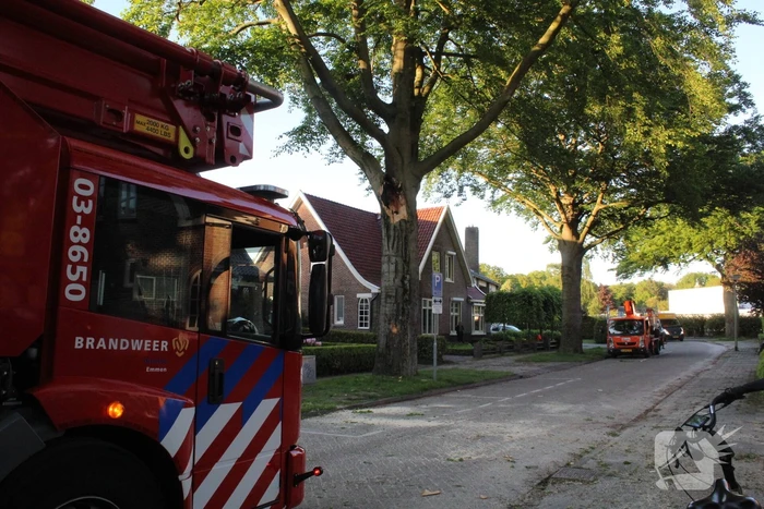 Gevaarlijk hangende tak verwijderd