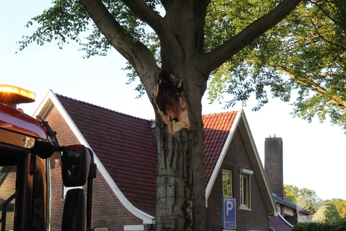 Gevaarlijk hangende tak verwijderd