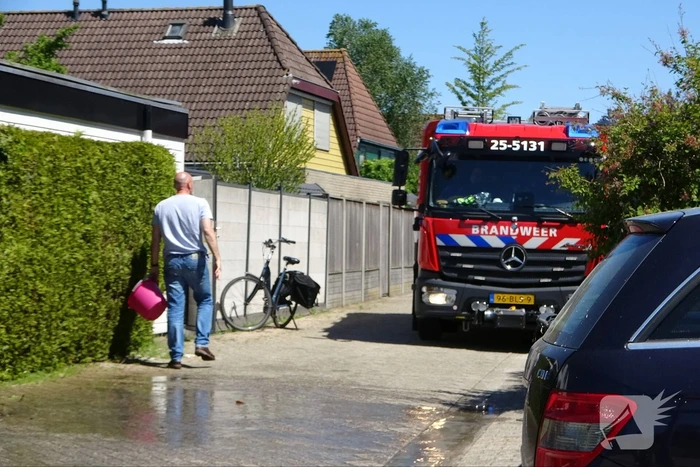 Coniferenhaag vat vlam