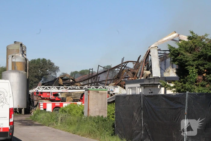 Duizenden varkens omgekomen bij grote brand in stal