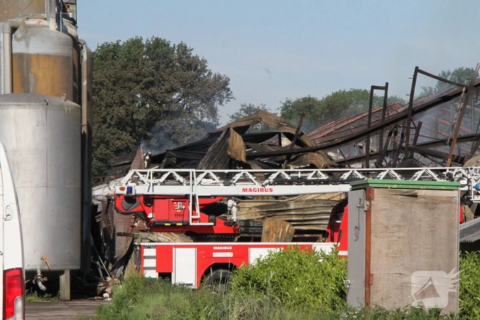 Duizenden varkens omgekomen bij grote brand in stal