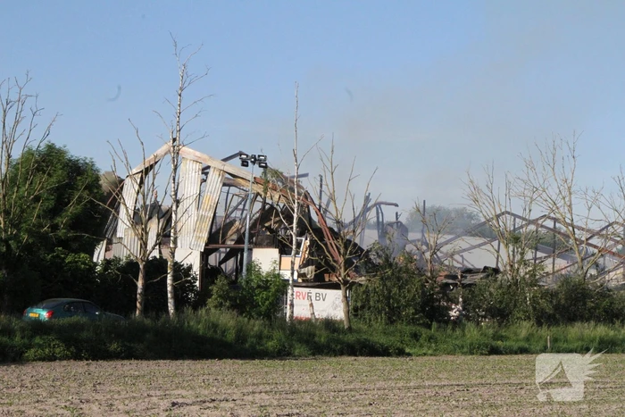 Duizenden varkens omgekomen bij grote brand in stal