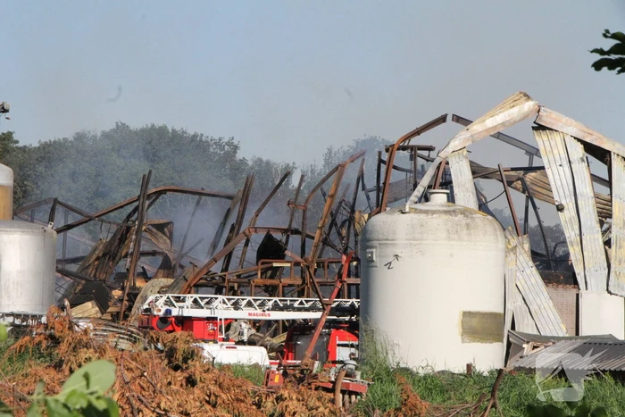 Duizenden varkens omgekomen bij grote brand in stal