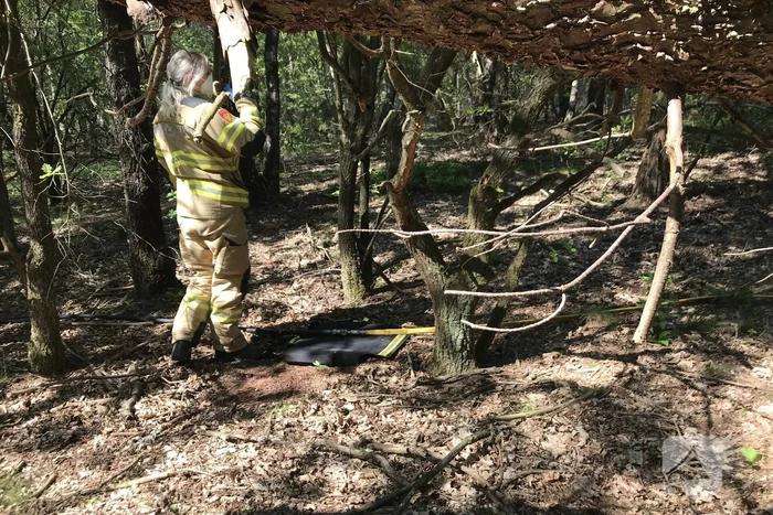 Brand in natuurgebied snel geblust
