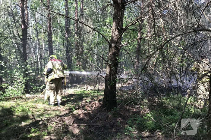 Brand in natuurgebied snel geblust