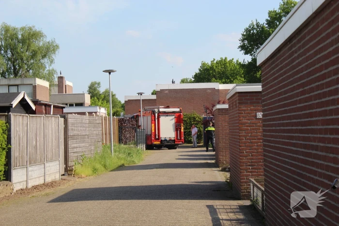 brand haselackers emmen