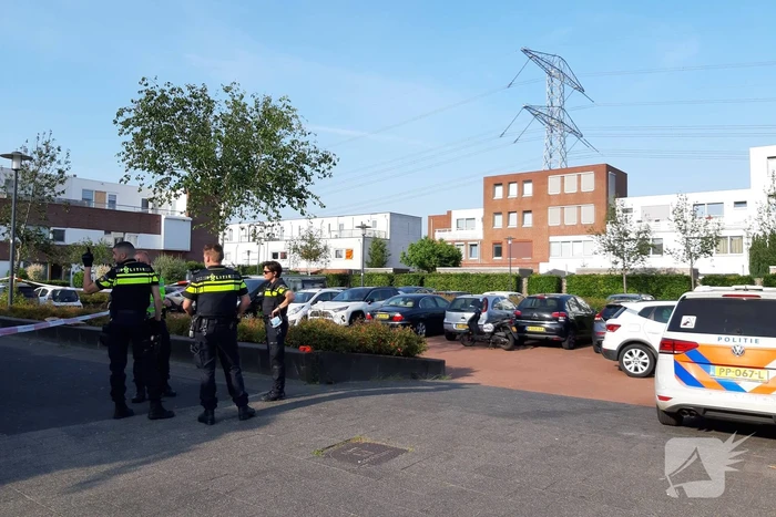 steekincident cypruslaan rotterdam