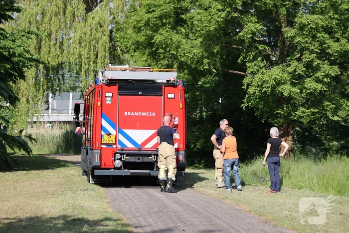 Klein stuk gras in brand