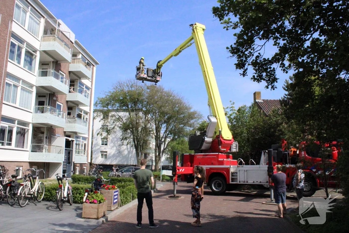 nieuws rijnstraat den helder