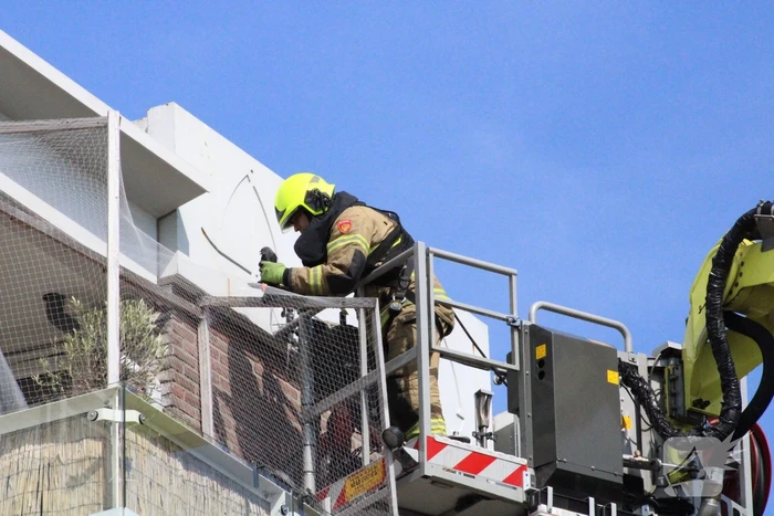 Vogel gered met brandweer hoogwerker