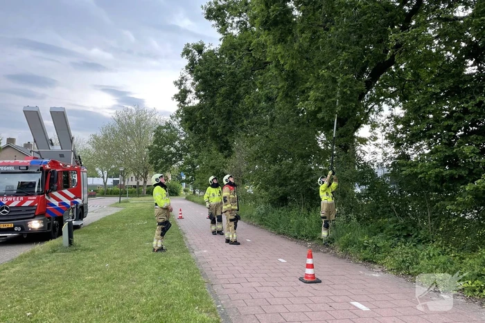 natuur professor oppenheimstraat veghel