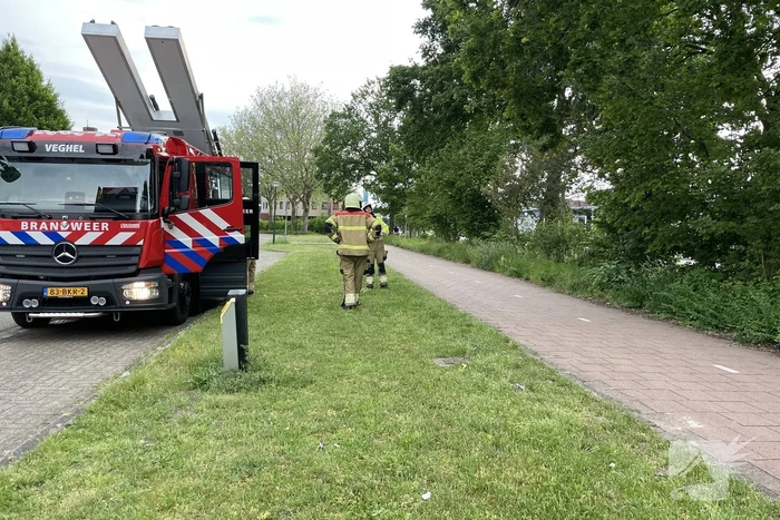 Brandweer zaagt loshangende tak los