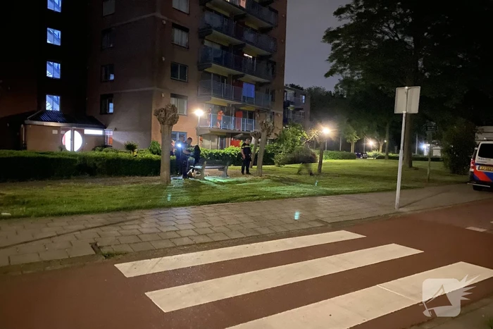 steekincident de lus zwijndrecht