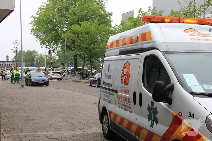 Brandweer bevrijdt twee duiven achter bord van kwantum