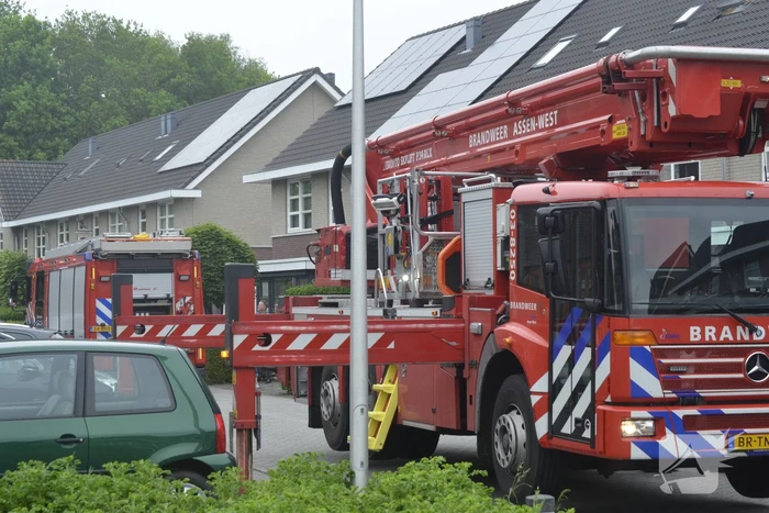 Vogel vast in ventilatiekanaal