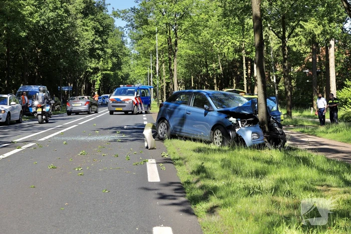 Personenauto belandt op boom
