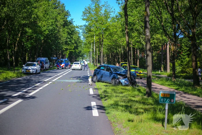 Personenauto belandt op boom