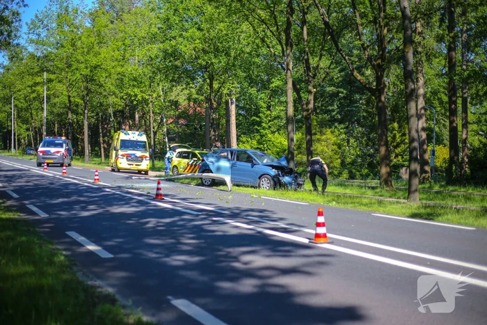 Personenauto belandt op boom
